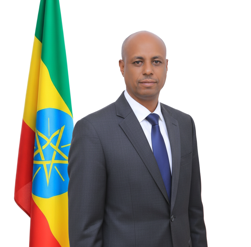 Vice dean & Education & training team leader 