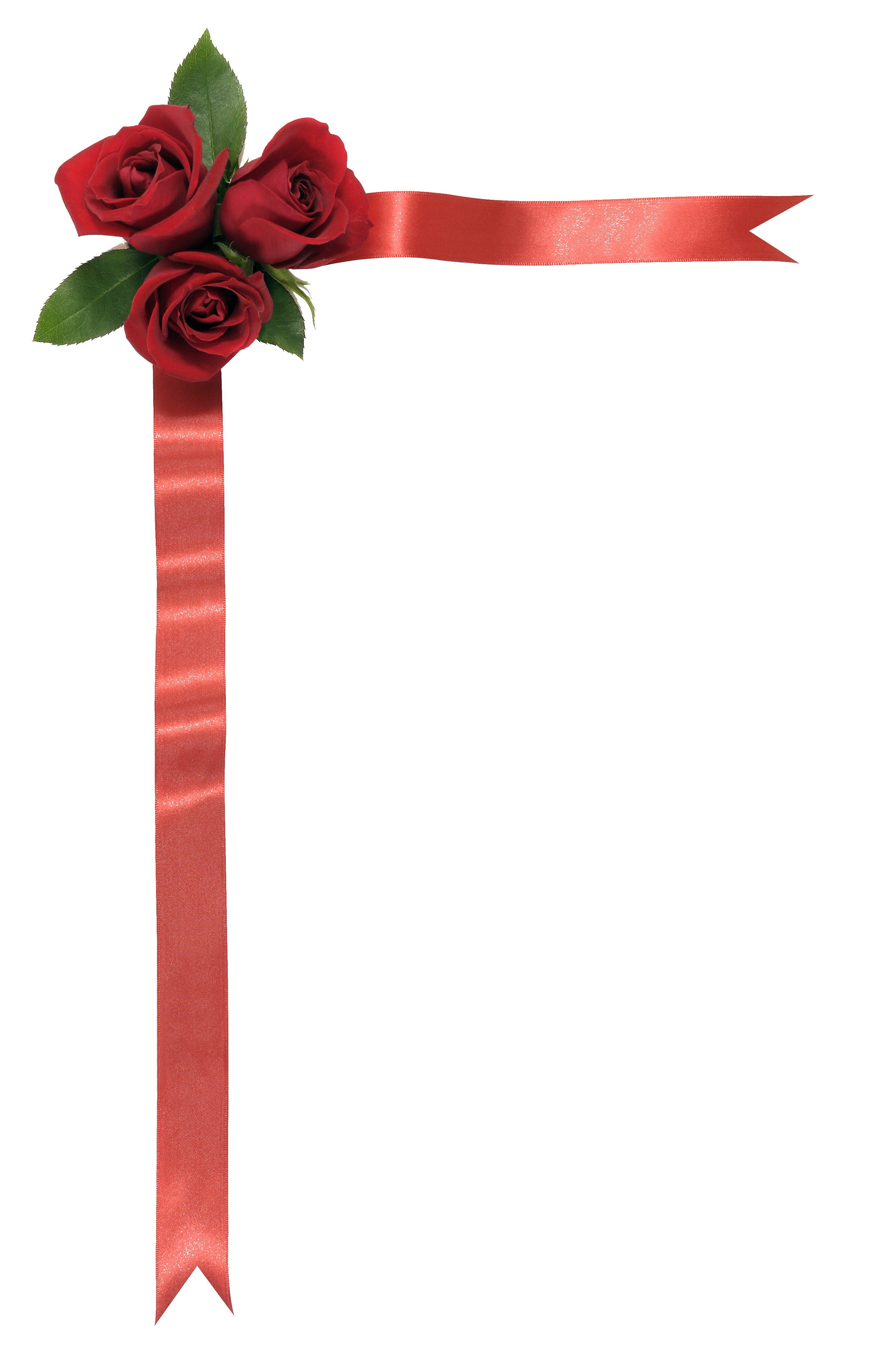 Decorative Ribbon